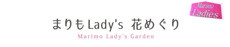 まりもlady's花めぐり