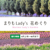 2024年も「まりもLady’s 花めぐり」が5月上旬よりスタートします